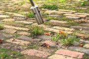 Onkruid verwijderen - Huren.nl - 1