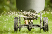 Gazon bemesten - Huren.nl - 1