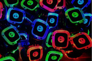 Silent disco - Huren.nl - 2