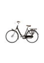 Heren- en damesfiets