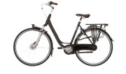 Heren- en damesfiets
