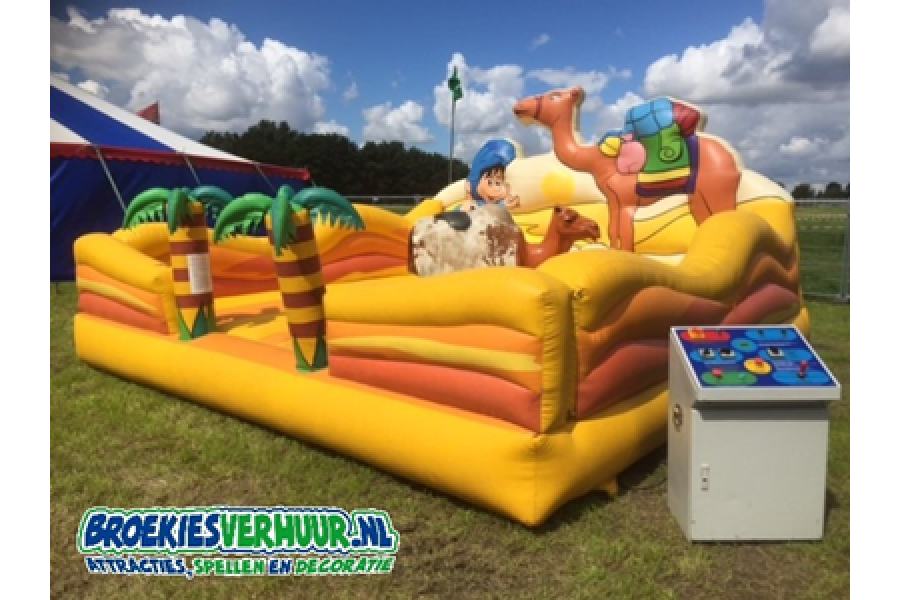 Rodeostier - Broekies Verhuur - 2