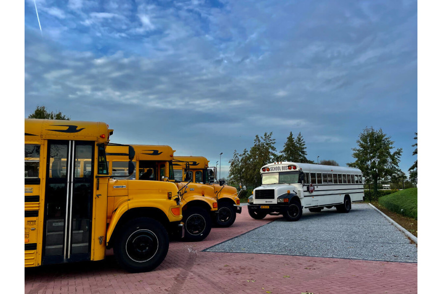 Amerikaanse schoolbus - P. Verbeek - 8