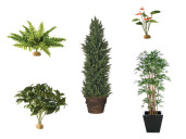 Planten, bloemen en bomen - Huren.nl - 1