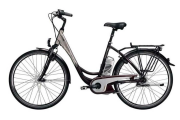 Elektrische fiets